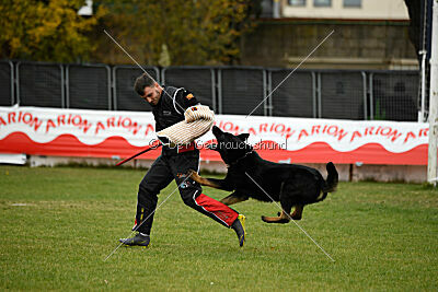 Airon von der Nilo World