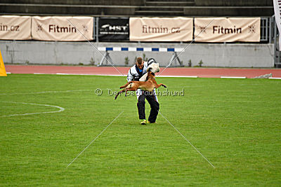 Aiva vom Weinbergland