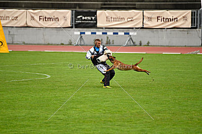 Aiva vom Weinbergland