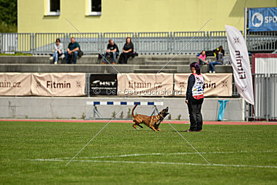 Aiva vom Weinbergland