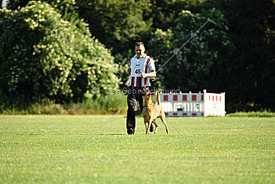 Aiven van de Twentehoeve