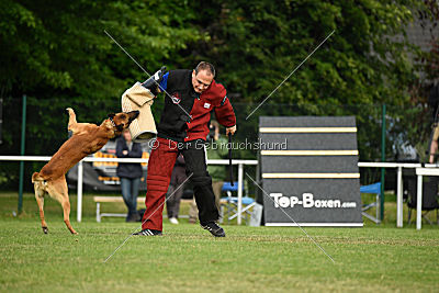 Aiven van de Twentehoeve