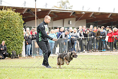 Ajahnique Magna Pesna