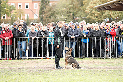 Ajahnique Magna Pesna