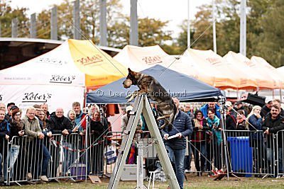 Ajahnique Magna Pesna