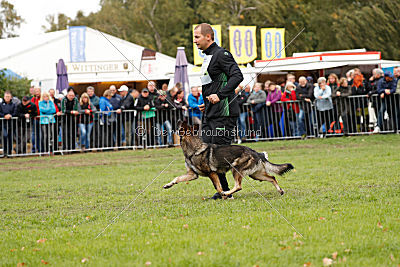 Ajahnique Magna Pesna