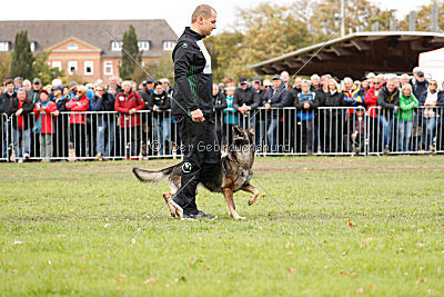 Ajahnique Magna Pesna