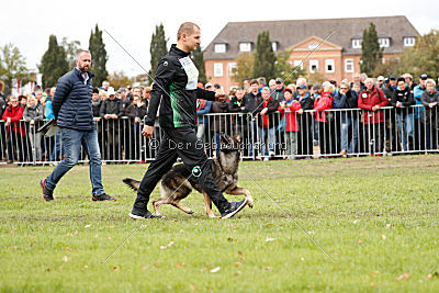 Ajahnique Magna Pesna