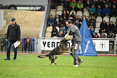 Ajahnique Magna Pesna