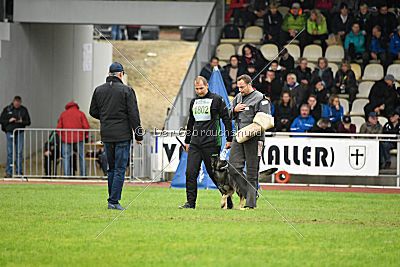 Ajahnique Magna Pesna