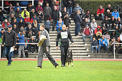 Ajahnique Magna Pesna