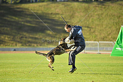 Ajahnique Magna Pesna