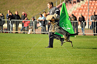 Ajahnique Magna Pesna