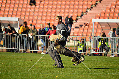 Ajahnique Magna Pesna