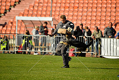 Ajahnique Magna Pesna