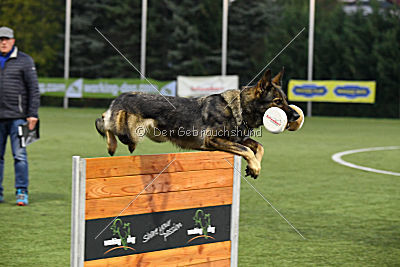 Ajahnique Magna Pesna