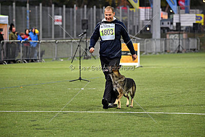 Ajahnique Magna Pesna