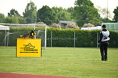 Akeem Yucero Bohémia