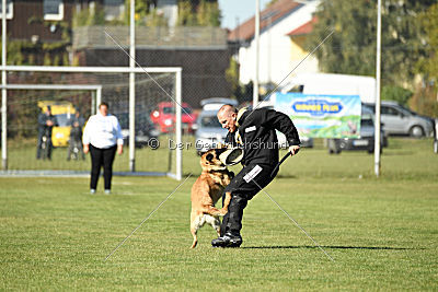 Akemi vom Phönixblut