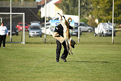 Akemi vom Phönixblut