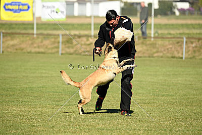 Akemi vom Phönixblut