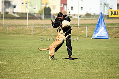 Akemi vom Phönixblut