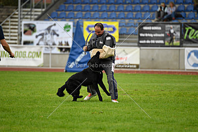 Akim vom Clauser Tal