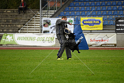 Akim vom Clauser Tal