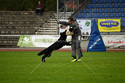 Akim vom Clauser Tal