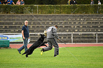 Akim vom Clauser Tal