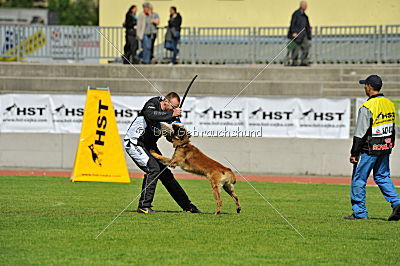 Akito von den Belgischen Wolfen