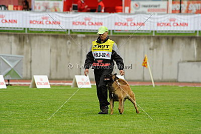 Akito von den Belgischen Wolfen