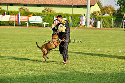 Al Capone Lumon Miradam