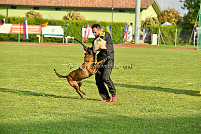 Al Capone Lumon Miradam