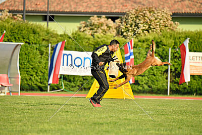 Al Capone Lumon Miradam