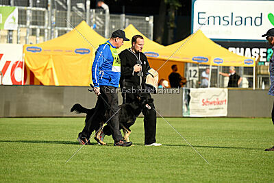 Al Pacino vom Peiner Burgpark