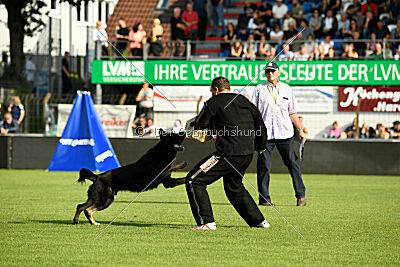 Al Pacino vom Peiner Burgpark