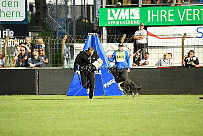 Al Pacino vom Peiner Burgpark