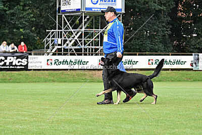 Al Pacino vom Peiner Burgpark