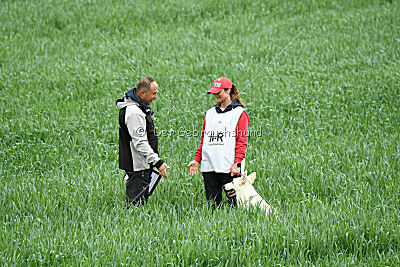 Albus Lupus Ul-Po Csilla