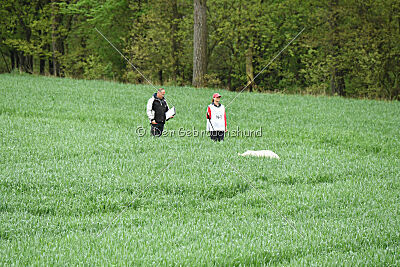 Albus Lupus Ul-Po Csilla