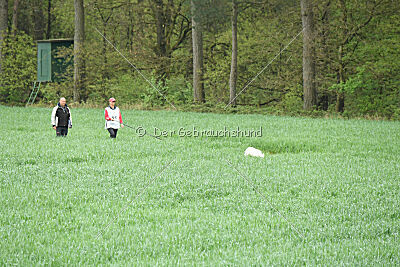 Albus Lupus Ul-Po Csilla