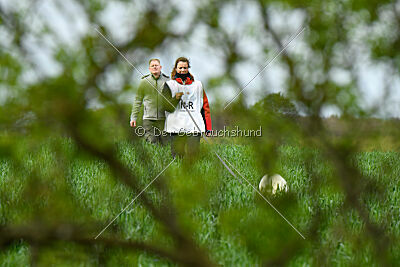 Albus Lupus Ul-Po Csilla