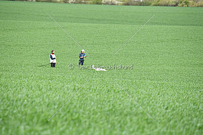 Albus Lupus Ul-Po Csilla