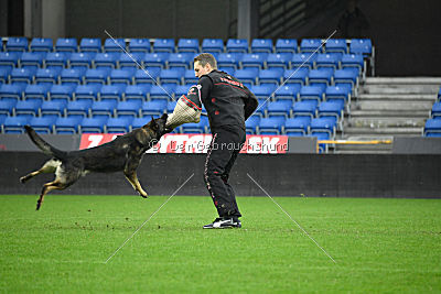 Alcatraz vom Wolfsgraben