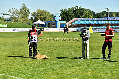 Alexa von der Lilienwiese