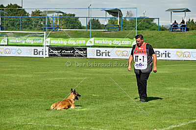 Alexa von der Lilienwiese