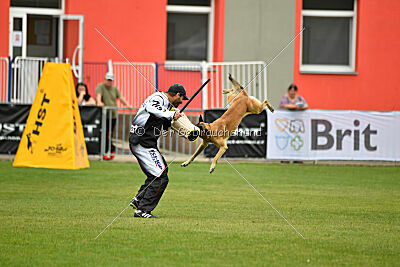 Alexa von der Lilienwiese