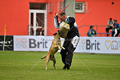 Alexa von der Lilienwiese