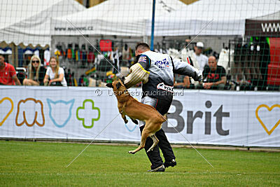 Alexa von der Lilienwiese